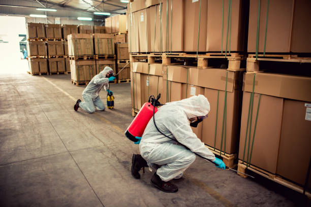 Best Bed Bug Extermination  in Fort Payne, AL
