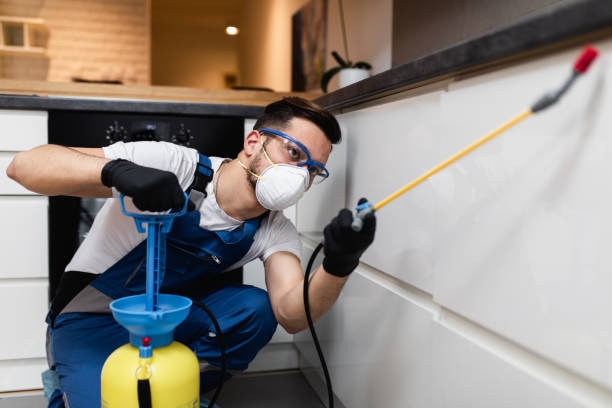 Professional Pest Control in Fort Payne, AL