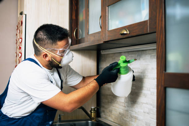 Best Local Pest Control Services  in Fort Payne, AL
