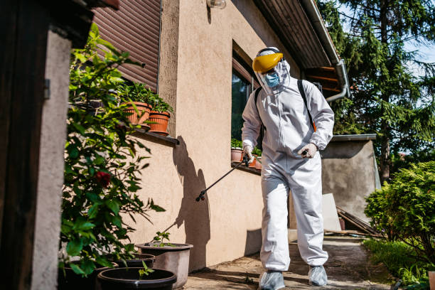 Best Mosquito Control Services  in Fort Payne, AL