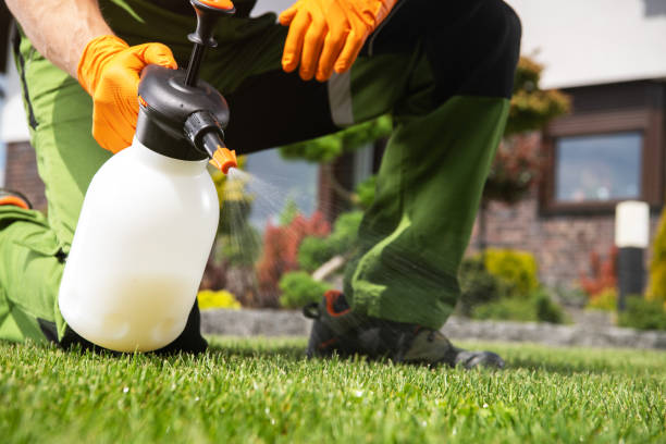 Best Residential Pest Control  in Fort Payne, AL