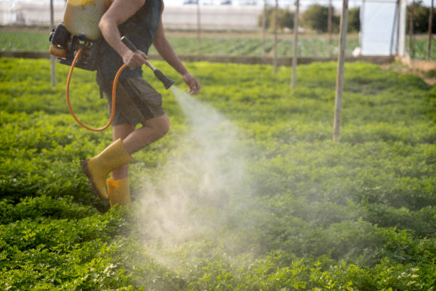 Best Pest Control Near Me  in Fort Payne, AL