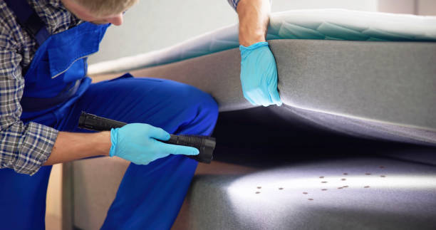 Best Rat Extermination Near Me  in Fort Payne, AL