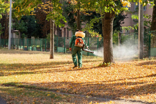 Best Pest Control Treatment  in Fort Payne, AL