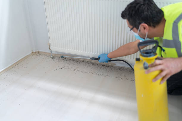 Best Pest Control for Homes  in Fort Payne, AL