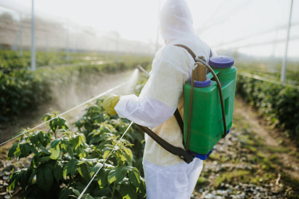 Best Termite Control Services  in Fort Payne, AL